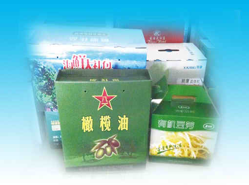 某某产品介绍