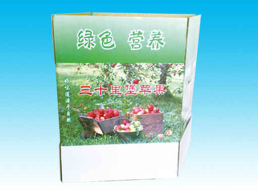 某某产品介绍