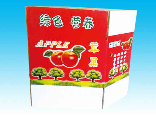 某某产品介绍